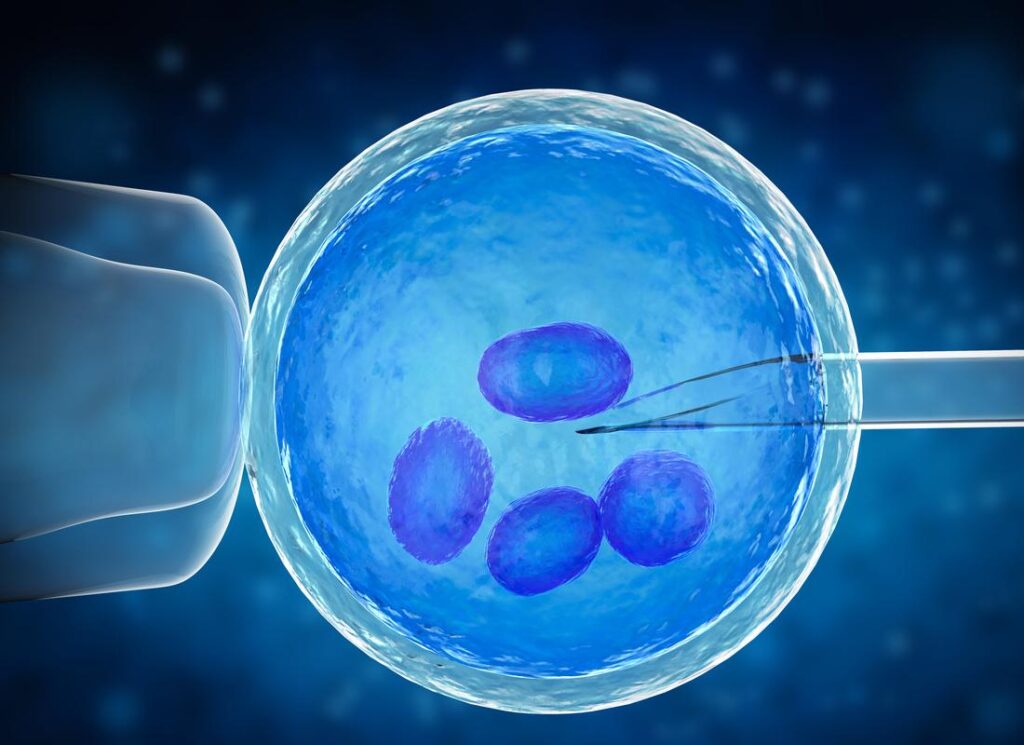 Comment mieux vivre la FIV à Marrakech : conseils du Dr Boutaibi pour préserver son équilibre émotionnel