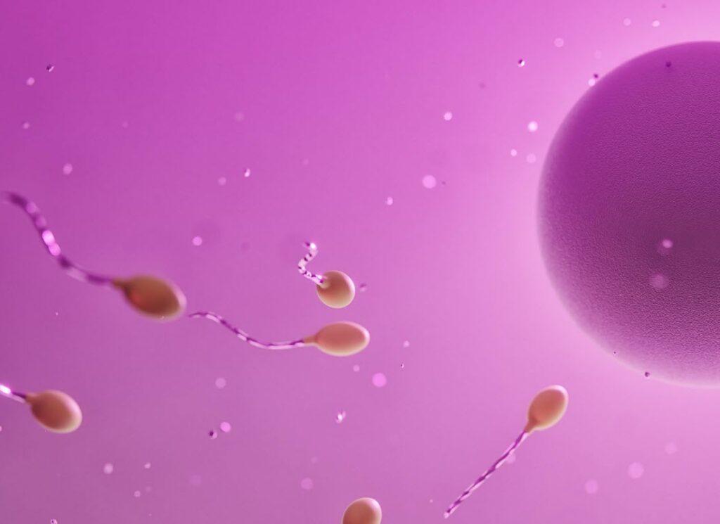 Comprendre la FIV à Marrakech : guide étape par étape avec le Dr Boutaibi